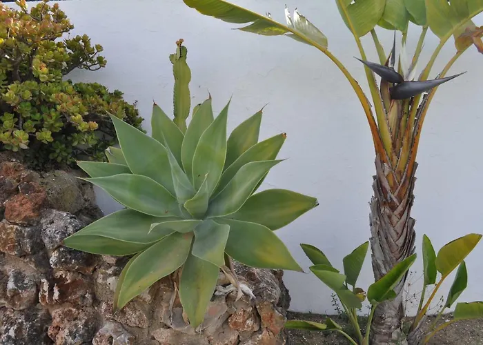 Casa Areias Boutique