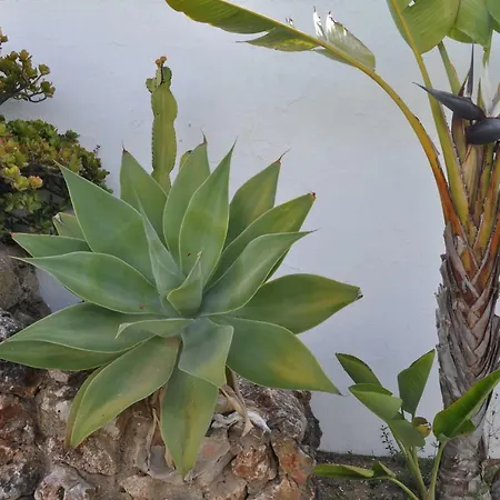 Casa Areias Boutique